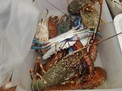 -拉威海鲜市场