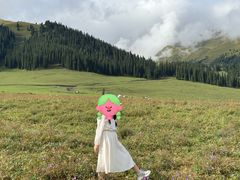 -新疆那拉提国家旅游度假区