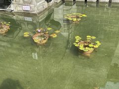 -南关石牌坊古镇