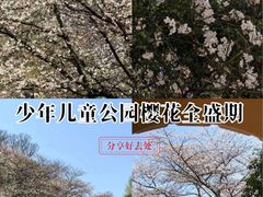 -杭州少年儿童公园