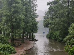 -重庆彩云湖湿地公园