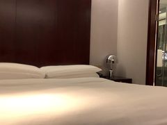 -上海龙之梦万丽酒店