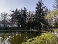 -木塔寺遗址生态公园