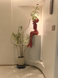 -WENDY·温迪皮肤管理