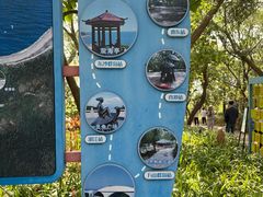 -广东惠东海龟国家级自然保护区