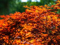 -石岛赤山风景区