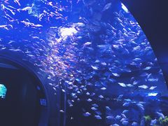 -成都浩海立方海洋公园