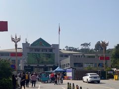 -打洛口岸
