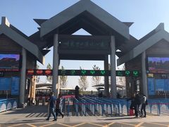 -呼兰河口湿地公园