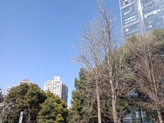 -海上海弘基休闲广场