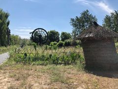 -溱湖国家湿地公园