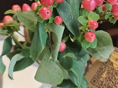 -泓0871臻选云南菜·味庄