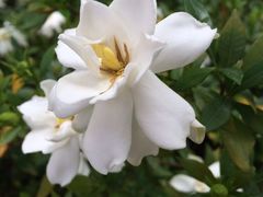 iphone_upload_pic-横店影视城明清宫苑园区