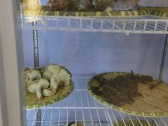 -滇香肴·云南菜蒸汽石锅鱼(云南北路店)