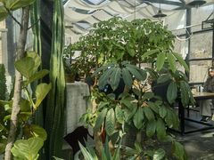 -北马山庄植趣咖啡