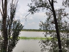 -野鸭湖国家湿地公园