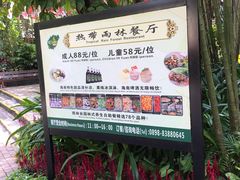 -呀诺达热带雨林