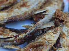 -黄利砖万峰林布依特色酸笋牛肉馆
