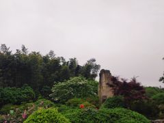 -宜兴龙背山森林公园