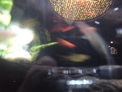 -Together·泰式按摩精油SPA(天山店)