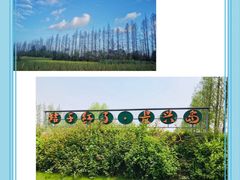 -前小桔亲子创意农场·草莓采摘·露营烧烤