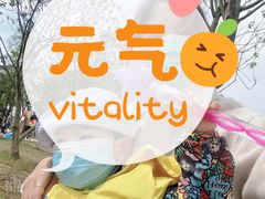 -两河城市森林公园