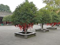 -什邡罗汉寺