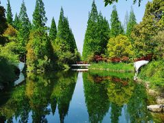 -东平国家森林公园