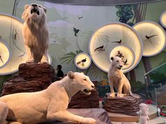 -陕西自然博物馆