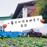 亲子！六一必须去的神仙游乐园😘
