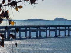 -星海湾跨海大桥
