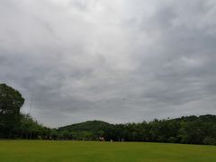 -大屏嶂森林公园
