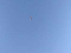 -春花秋色城市公园