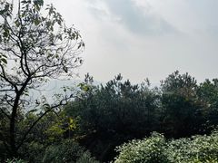 -临平公园(临平街道)