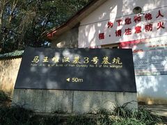 -马王堆汉墓遗址