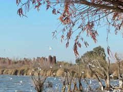 -捞渔河湿地公园