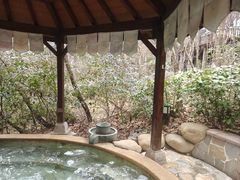 -天目湖涵田半山温泉
