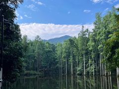 -波尔登森林公园