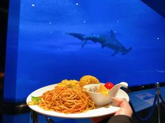 -珠海长隆海洋王国
