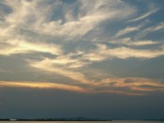 -西京湾花海