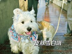 -Manner Coffee(徐汇滨江店)