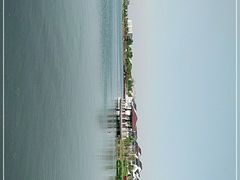 -鹅湖玫瑰文化园