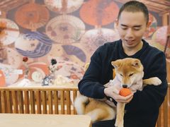-豆柴町-柴犬主题狗咖(红鼎国际C座店)