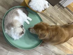 -拜鲁耶动物诊疗中心·宠家动物医院