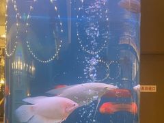 -悦百味·品质川菜(橄榄郡店)