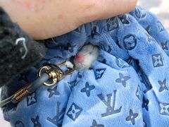 -雨林宠物医院 非犬猫异宠专科