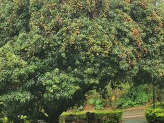 -顺风山庄(水濂山店)
