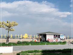 -东疆理想海岸沙滩景区
