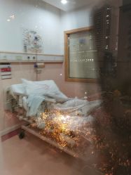 -复旦大学附属妇产科医院(黄浦院区)