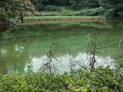 -韶山毛泽东同志故居